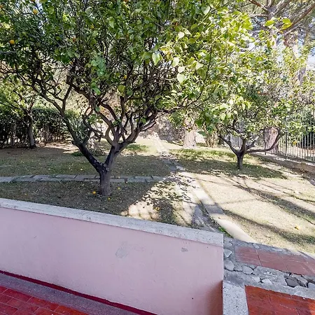 Lemon Tree - Garden, Sea View, Wifi サンレモ